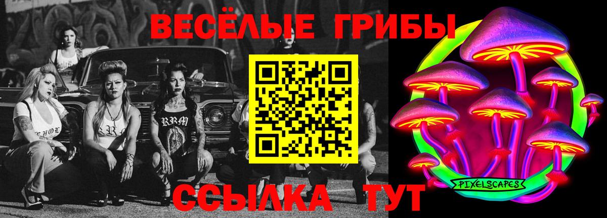 цена   Вход с VPN  Великий Устюг  Псилоцибиновые грибы прущие грибы 