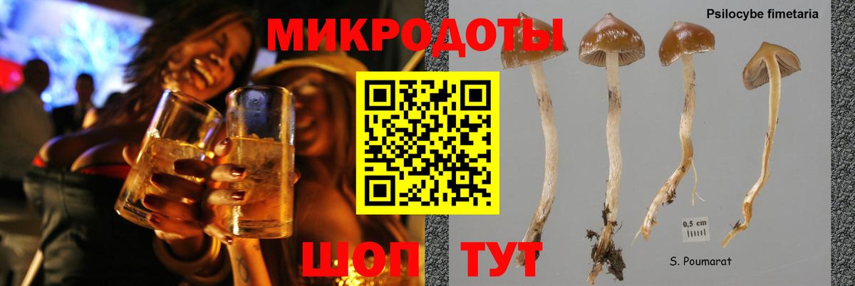 Галлюциногенные грибы GOLDEN TEACHER Великий Устюг